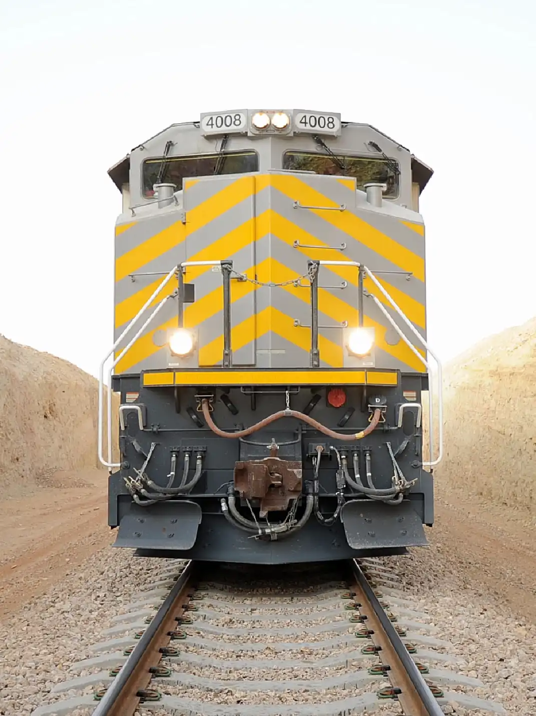 Sustainability & Innovation